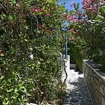 Alpha Appartement Naousa