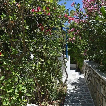 Alpha דירה נאוסה